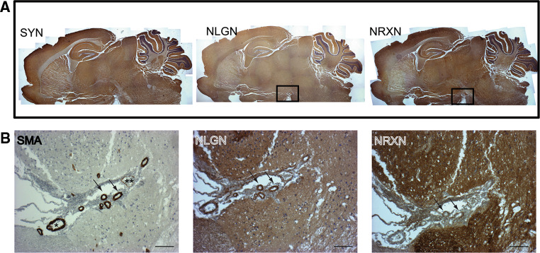 Fig. 2