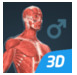 graphic file with name mededu_v11i1e64550_fig15.jpg