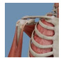 graphic file with name mededu_v11i1e64550_fig8.jpg