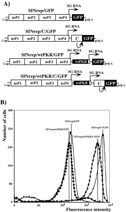 FIG. 7.