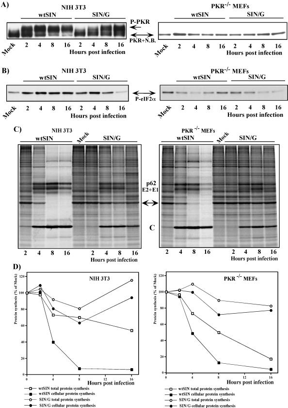 FIG.3.