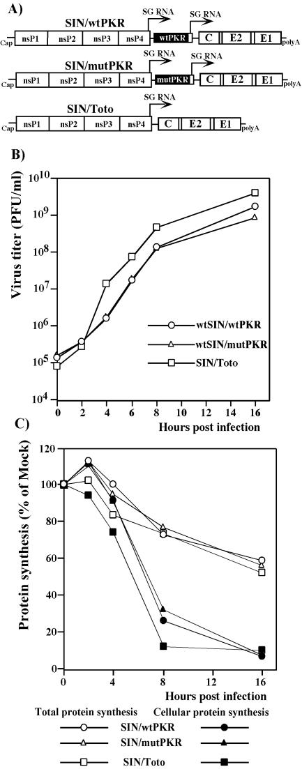 FIG. 6.