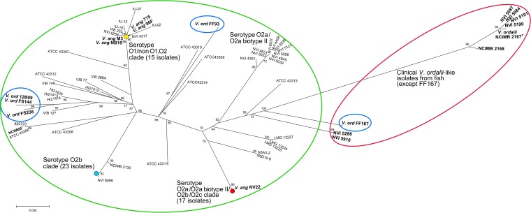 FIG 1