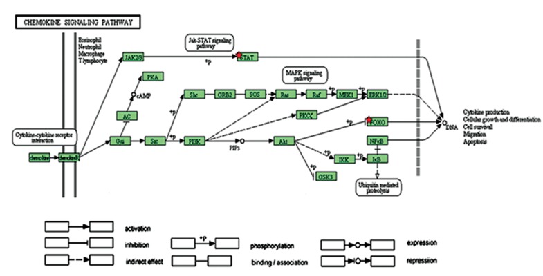 Fig.4