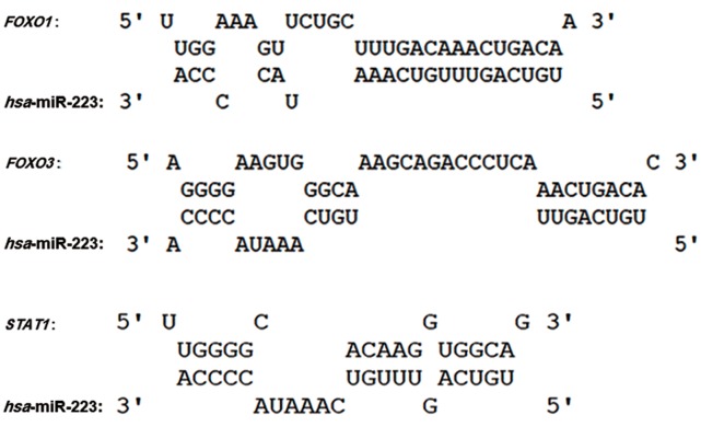 Fig.3