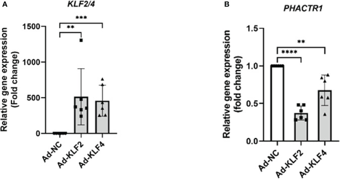 Figure 5