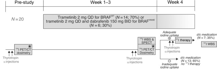 Figure 1. Protocol design. QD, quaque die; BID, bis in die; d/c, discontinue; WBS, whole body scintigraphy. Off-study examinations are marked with an asterisk.