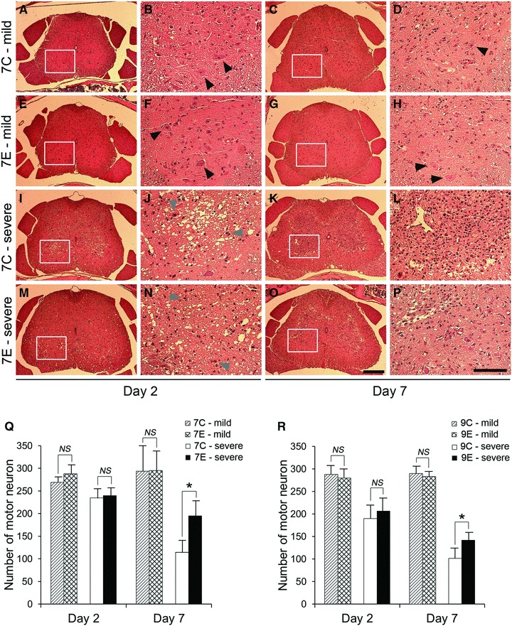 Fig 4