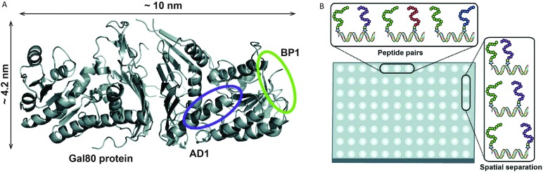 Fig. 9