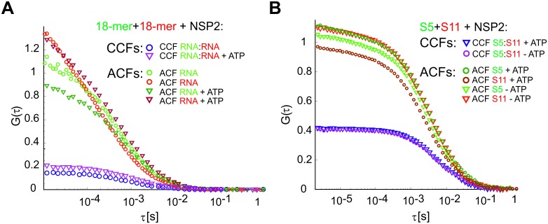 Figure 1—figure supplement 4.