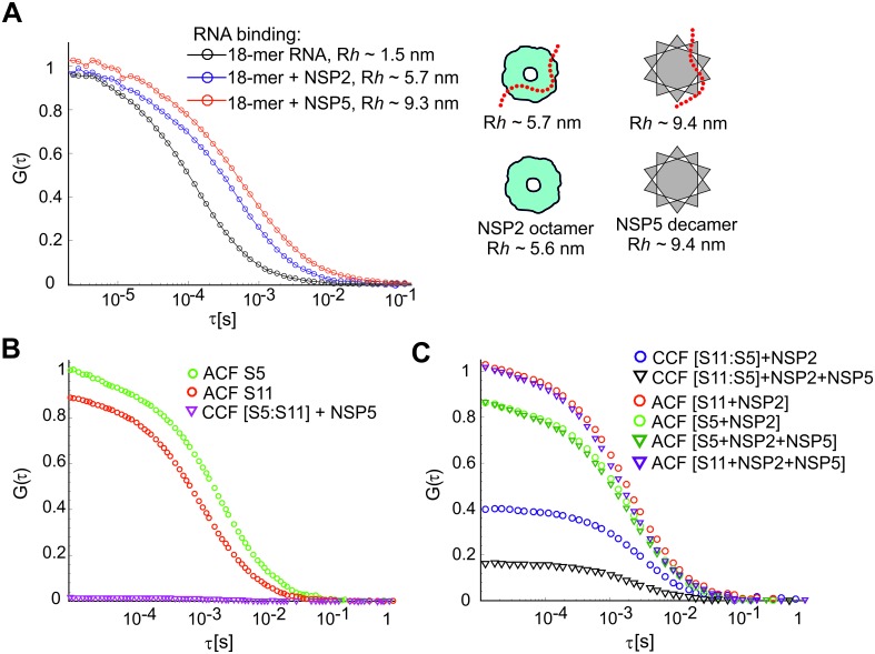 Figure 1—figure supplement 3.