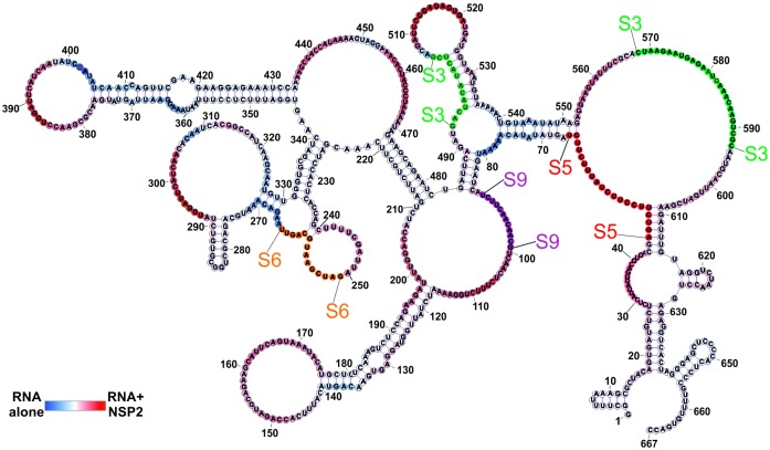 Figure 4—figure supplement 3.