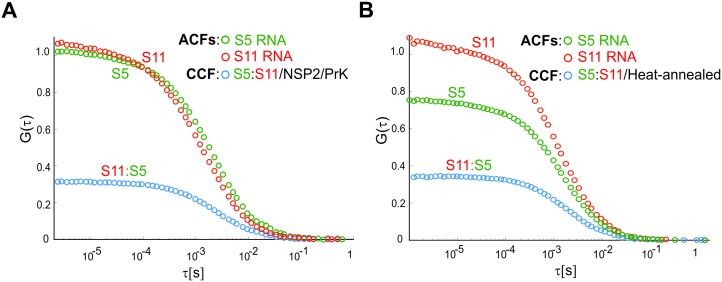 Figure 1—figure supplement 6.