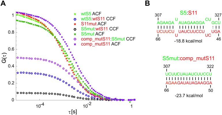 Figure 4—figure supplement 1.