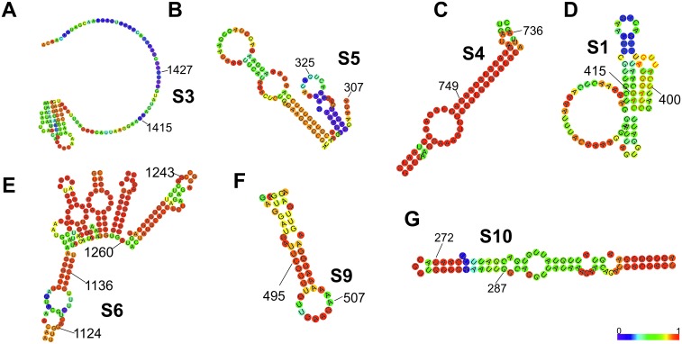 Figure 3—figure supplement 4.