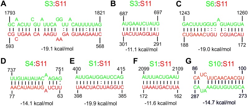 Figure 3—figure supplement 2.