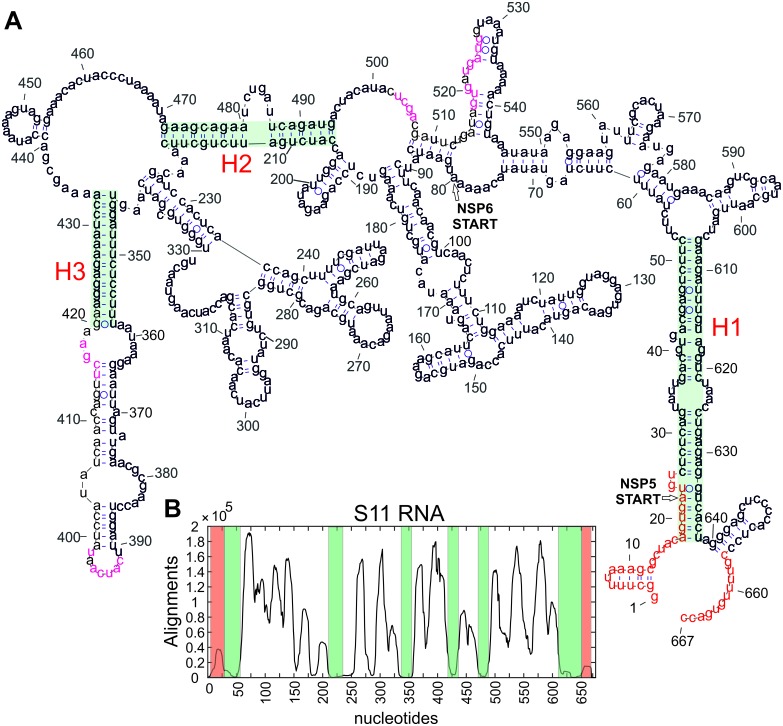 Figure 2—figure supplement 1.