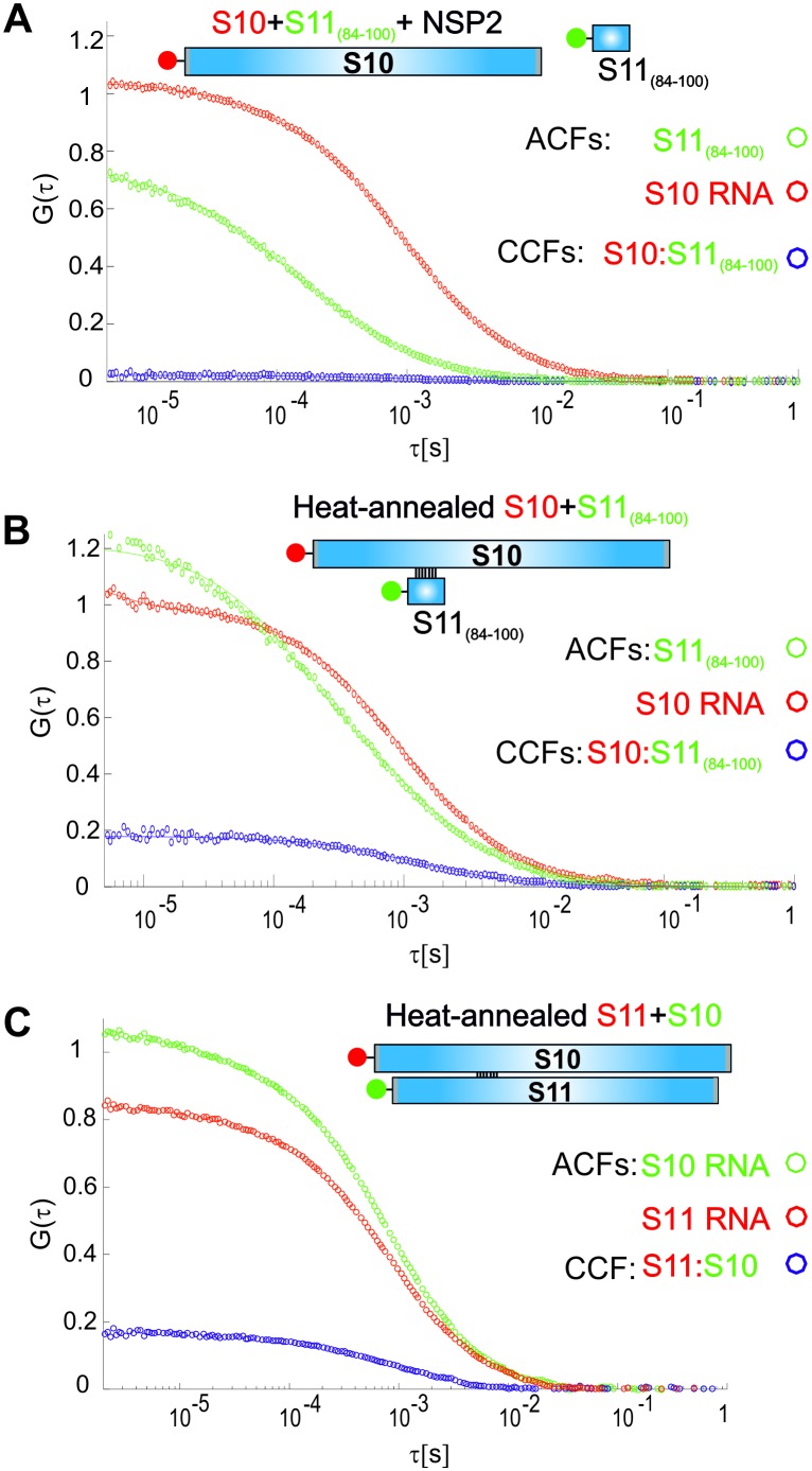 Figure 3—figure supplement 3.