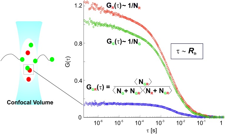 Figure 1—figure supplement 1.