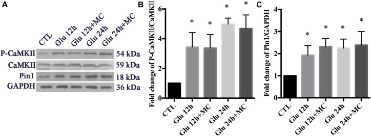 FIGURE 4