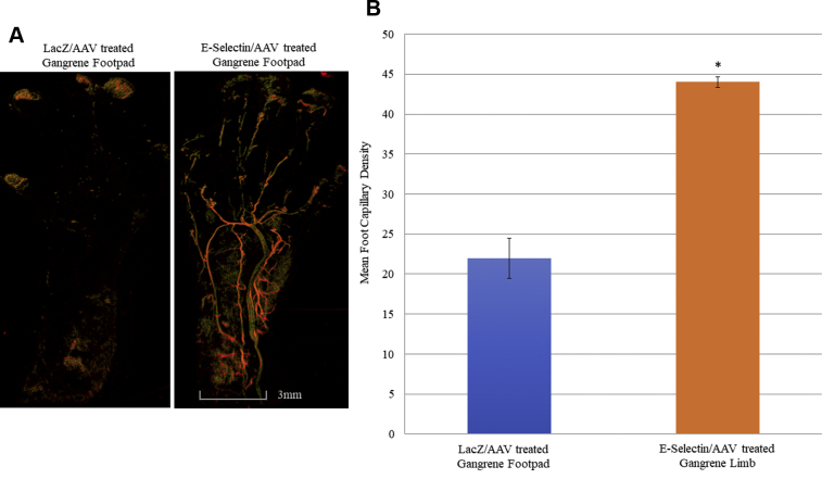 Fig 3