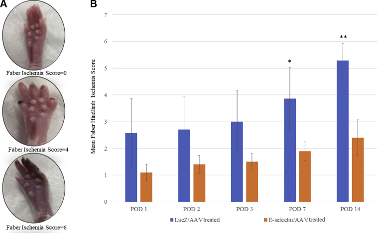 Fig 4