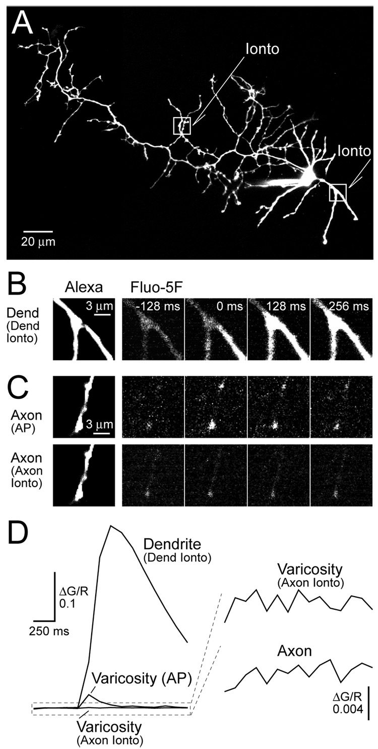 Figure 6