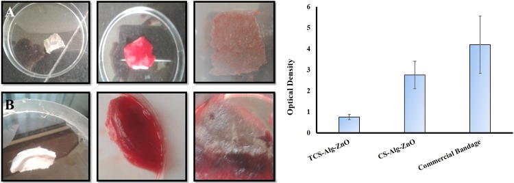 Fig 4