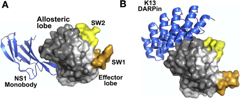 Figure 5.