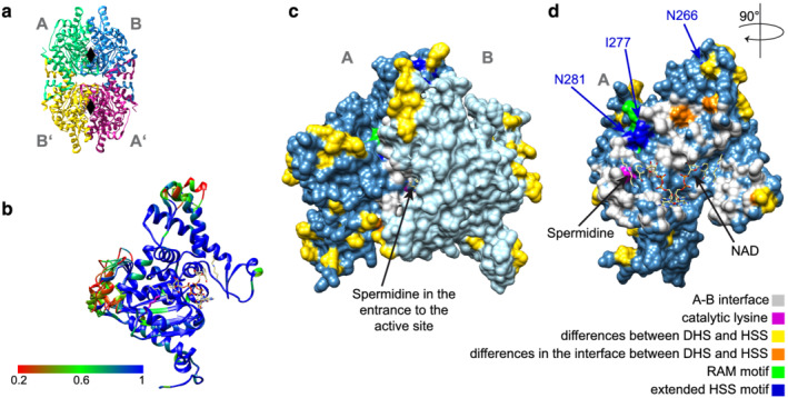 FIGURE 4