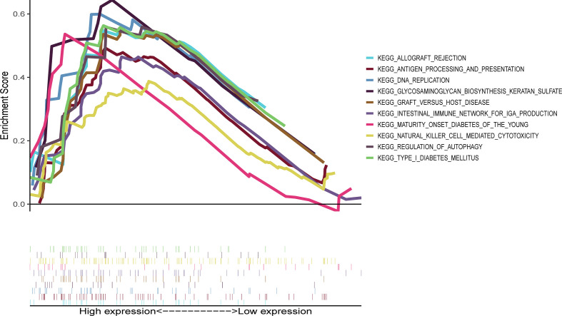 Figure 6