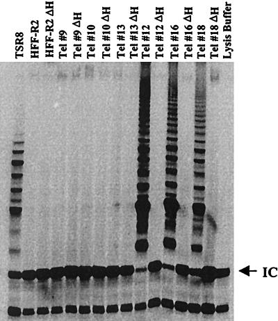 FIG. 1