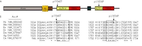 graphic file with name mg45377.f2.jpg