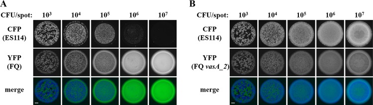 FIG 3