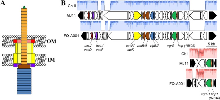 FIG 1