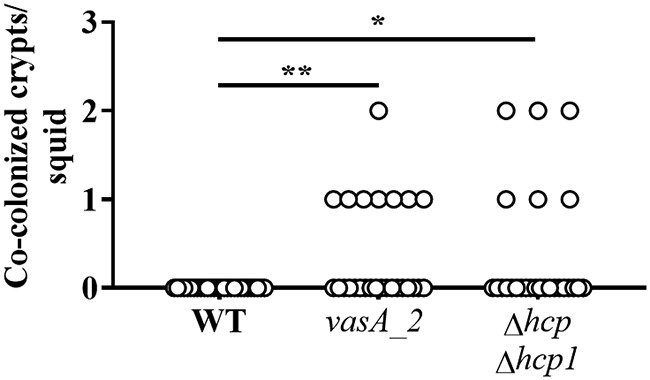 FIG 6