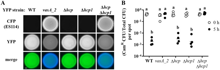 FIG 4