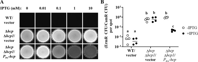 FIG 7