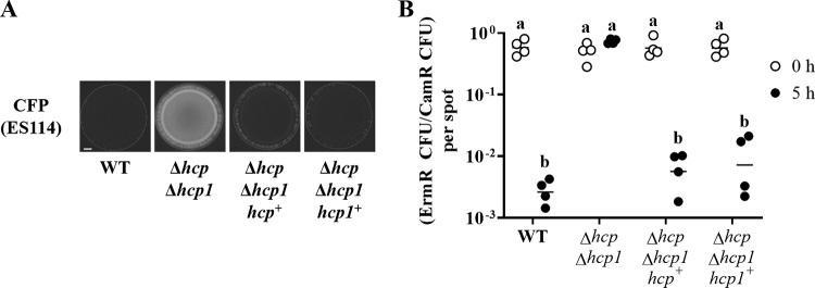 FIG 5