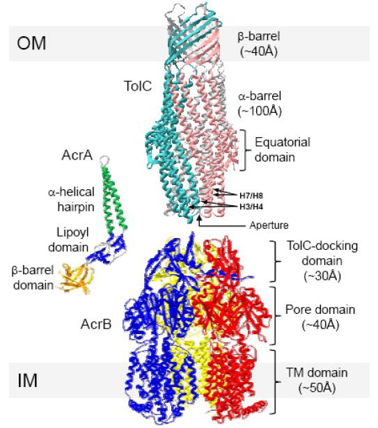 Fig. 1