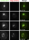 Figure 3.