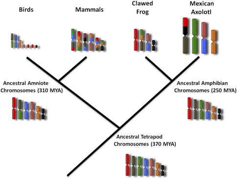 Figure 5.