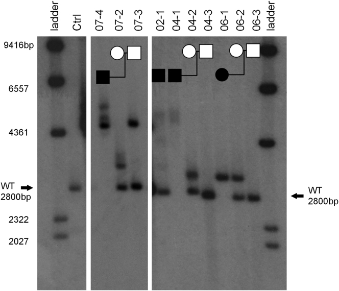 Figure 4