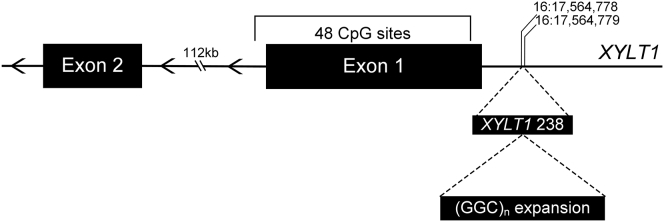 Figure 1