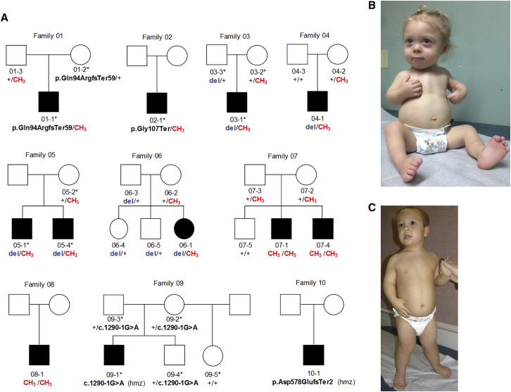 Figure 2