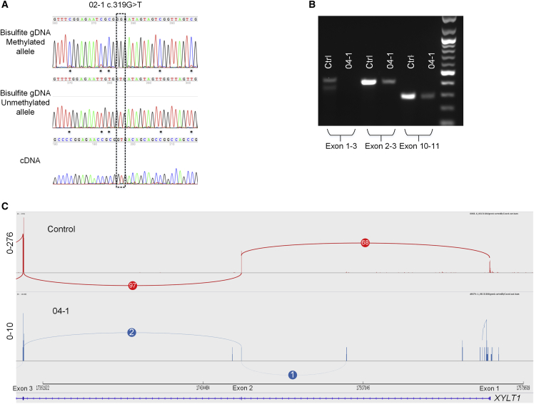 Figure 3