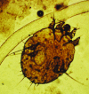 FIG. 1.