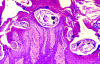 FIG. 8.