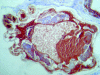 FIG. 9.