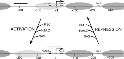 FIG. 6.